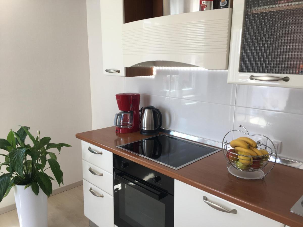 Apartments Roberta Novigrad  Bagian luar foto