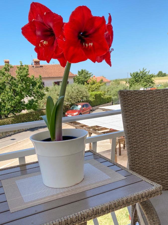 Apartments Roberta Novigrad  Bagian luar foto