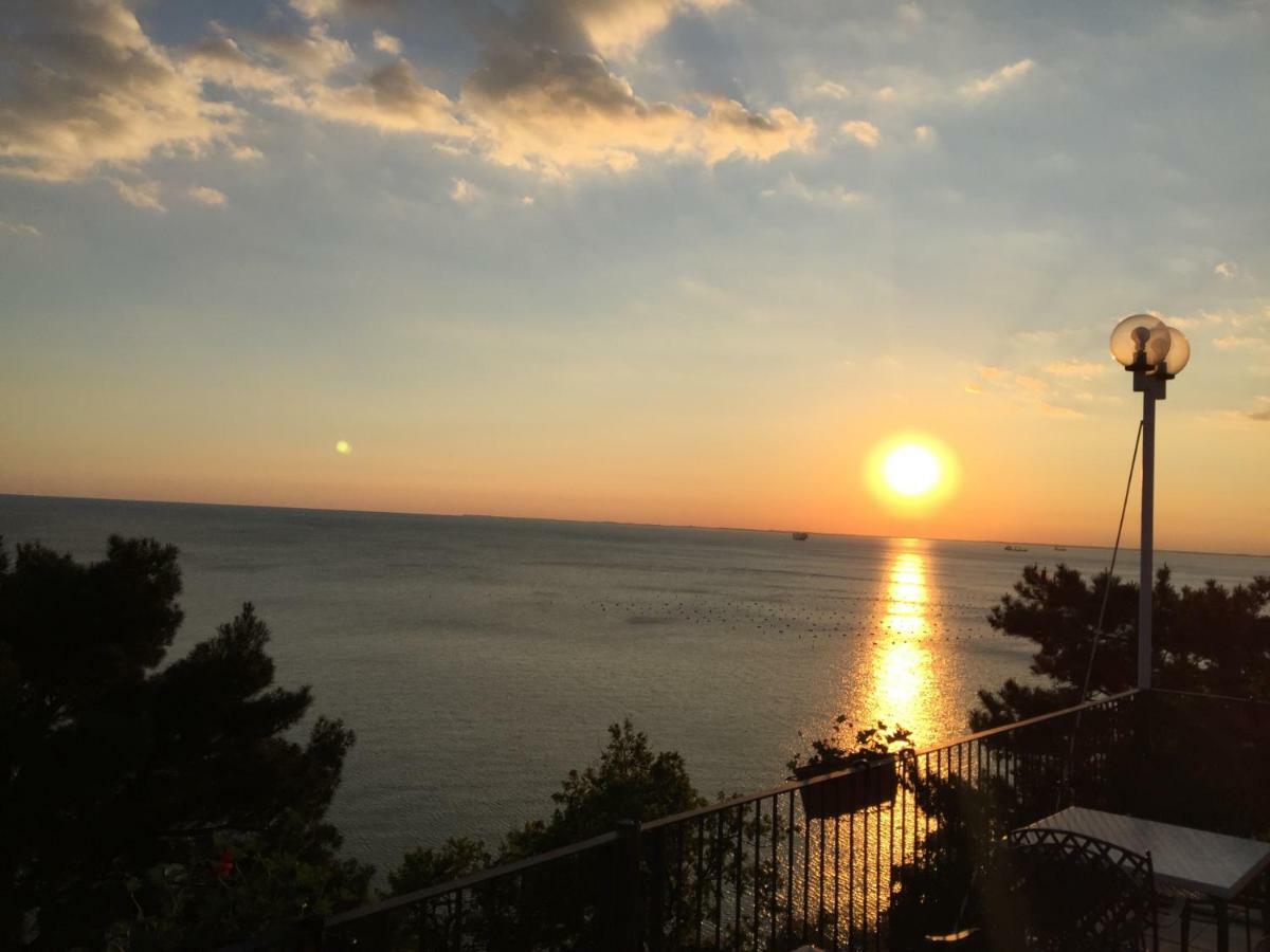 Apartments Roberta Novigrad  Bagian luar foto